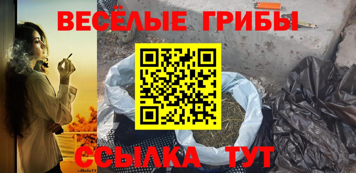 Псилоцибиновые грибы Psilocybe  Вход с VPN  Сосновый Бор 