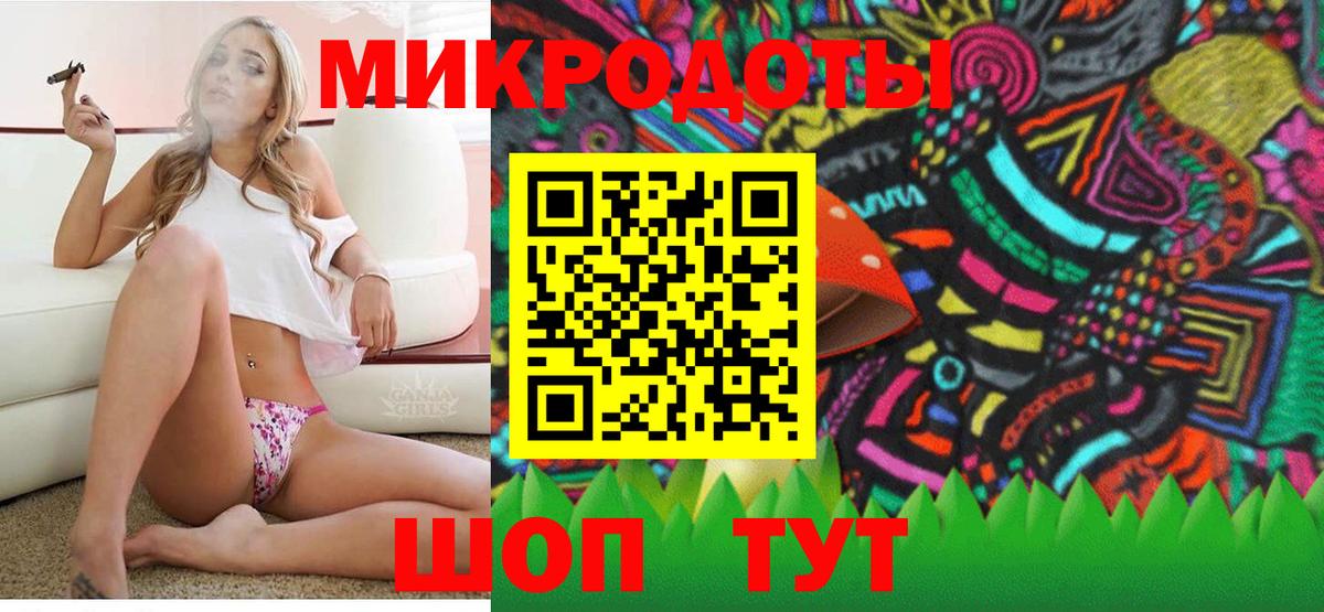 Псилоцибиновые грибы Psilocybine cubensis Сосновый Бор